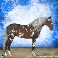 Horse Color:White Spotted Liver Chestnut Mushroom 