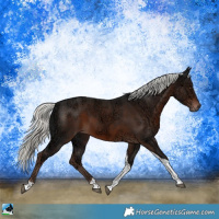 Horse Color:Liver Chestnut Ice Mushroom Tobiano 