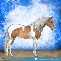 Horse Color:Chocolate Palomino Mushroom Tobiano Rabicano