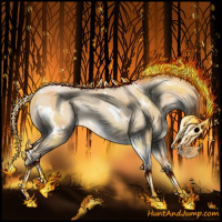 Horse Color:White Spotted Palomino Pearl 