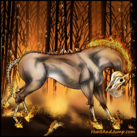 Horse Color:Gray Gold Champagne