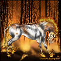 Horse Color:White Spotted Chestnut Sabino Splash 