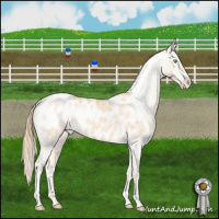 Horse Color:Buckskin Pearl Appaloosa Rabicano and Perlino Appaloosa