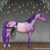 Horse Color:Watercolor Bay Roan Rabicano 