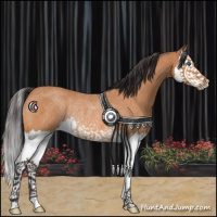 Horse Color:Buckskin Roan Splash Rabicano 