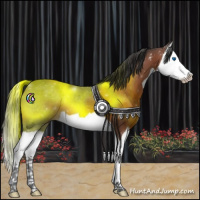 Horse Color:Bay Splash 