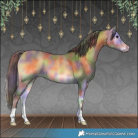 Horse Color:Nacre Buckskin Onyx