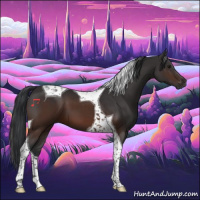 Horse Color:Brown Tobiano 