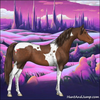 Horse Color:Liver Chestnut Tobiano 
