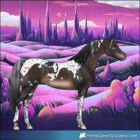 Horse Color:White Spotted Brown Tobiano 