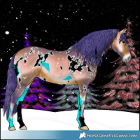 Horse Color:Watercolor White Spotted Bay Onyx Rabicano 