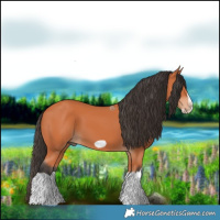 Horse Color:Bay Splash Frame