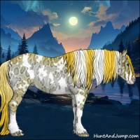 Horse Color:Watercolor White Spotted Liver Red Onyx Ice Sabino Rabicano