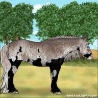 Horse Color:Silver Brown Ice Onyx Splash 