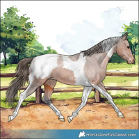 Horse Color:Bay Tobiano Snowcap 