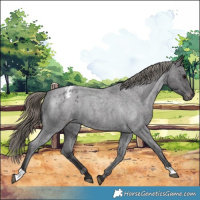 Horse Color:Smoky Blue Roan Varnish 