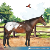 Horse Color:Brown Snowcap 