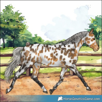Horse Color:Silver Buckskin Near Leopard 