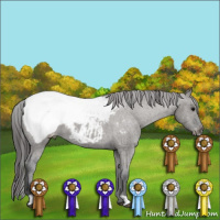 Horse Color:Grullo Appaloosa Brindle 