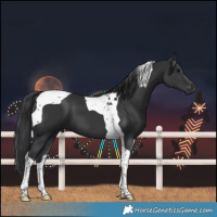 Horse Color:Black Tobiano 