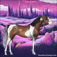 Horse Color:Brown Splash Tobiano Snowflake Varnish