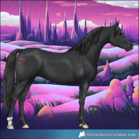 Horse Color:Black 