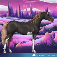 Horse Color:Liver Chestnut Tobiano 