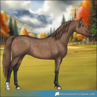 Horse Color:Liver Red Dun Brindle