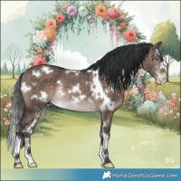 Horse Color:White Spotted Brown Dun Mushroom Sabino Rabicano