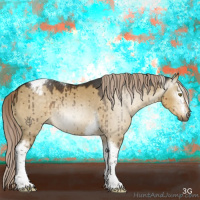 Horse Color:Gray White Spotted Chocolate Palomino Dun Tobiano Appaloosa Brindle 