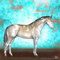 Horse Color:White Spotted Buckskin Roan Dun Mushroom Splash Rabicano 
