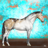 Horse Color:Gray White Spotted Buckskin Dun Mushroom Sabino Rabicano 
