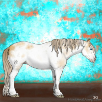 Horse Color:Gray Gold Cream Champagne Dun Sabino Splash Tobiano Frame 