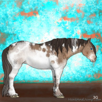 Horse Color:Liver Red Dun Tobiano Frame Brindle 