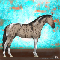 Horse Color:Liver Red Dun Tobiano Brindle 