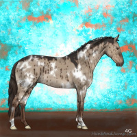 Horse Color:White Spotted Liver Red Dun Brindle 