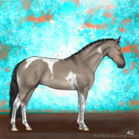 Horse Color:Brown Dun Tobiano 