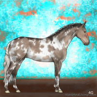 Horse Color:White Spotted Liver Red Dun Mushroom 