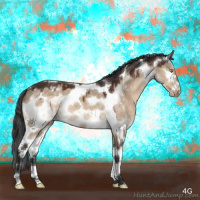 Horse Color:Brown Dun Splash Tobiano Appaloosa 