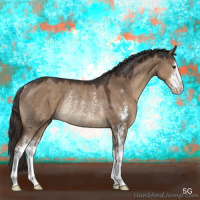 Horse Color:Liver Red Dun Sabino Rabicano 