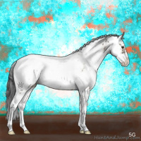 Horse Color:Liver Red Dun Sabino Appaloosa Brindle 