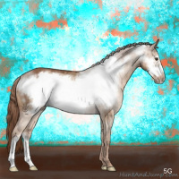 Horse Color:Red Dun Roan Frame Rabicano Brindle 