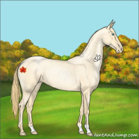 Horse Color:Buckskin Roan Pearl 