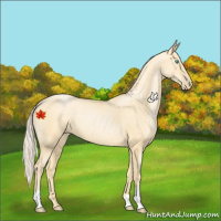 Horse Color:Palomino Pearl 