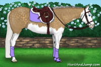 Horse Color:Silver Smoky Blue Roan Splash 