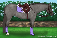 Horse Color:Smoky Blue Roan 