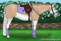 Horse Color:Silver Classic Champagne Roan Splash 