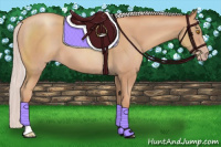 Horse Color:Silver Classic Champagne 