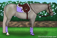 Horse Color:Silver Blue Roan 
