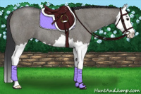 Horse Color:Grullo Roan Splash 